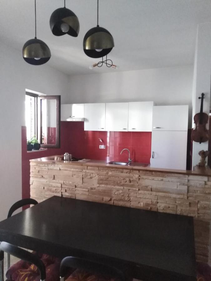 Apartman Irena With Terase End Private Parking Donji Okrug  Exterior foto